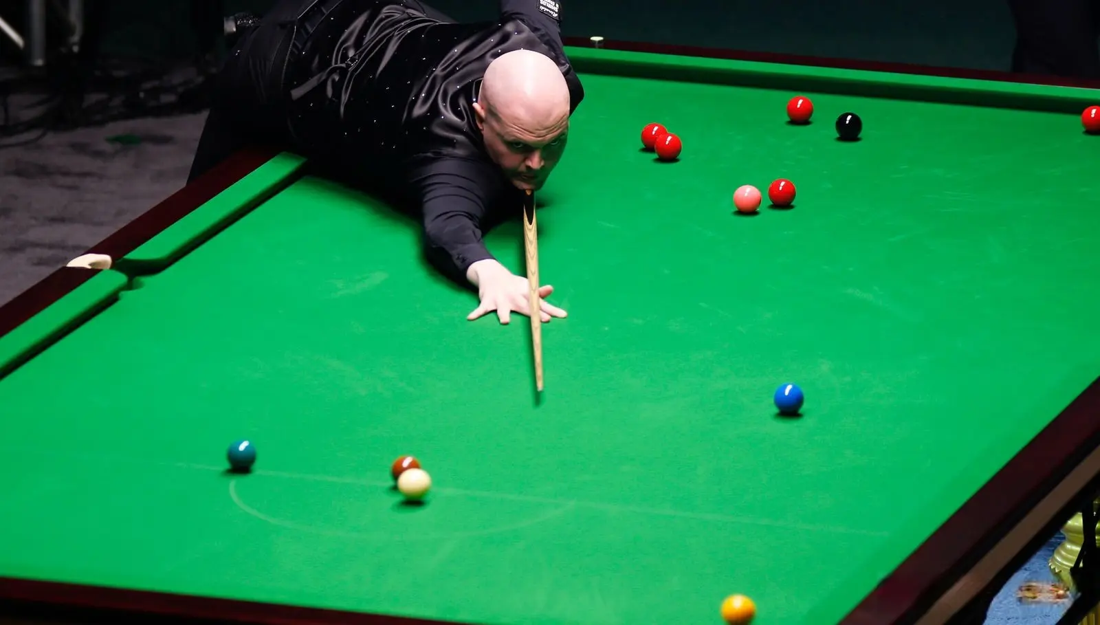 我为自己感 我为自己感