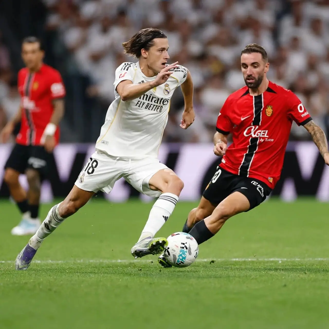 得意甲冠军, entit